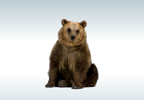 OLZ Equity China Optimized ESG - Un bilan intermédiaire